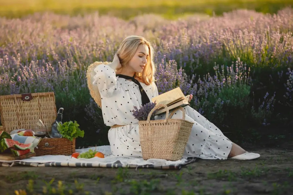 Machen Sie ein Picknick in einem Park